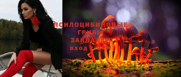 мяу мяу мука Бородино