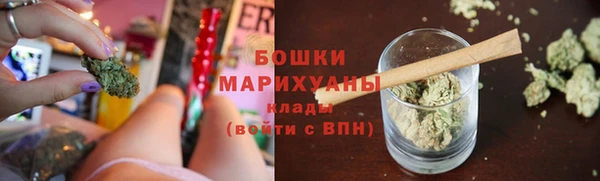 молекула духа Бугульма