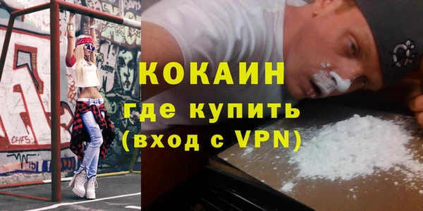 мяу мяу мука Бородино