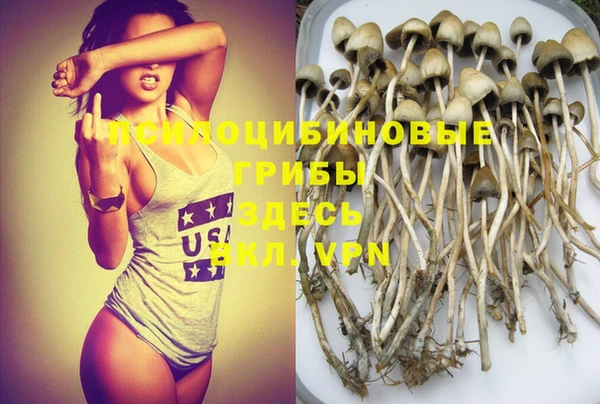 молекула духа Бугульма