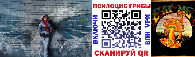 Псилоцибиновые грибы Cubensis  Купить закладки  Курчалой 