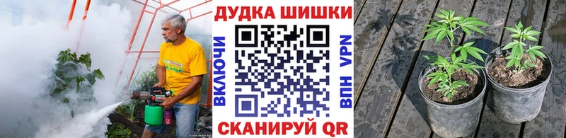 Шишки марихуана MAZAR  Купить закладки  Курчалой 